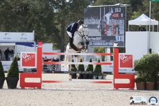 Roger Yves Bost and Cassius Clay VDV Z make an ambitious turn en route to CSI4* grand prix glory at Fontainebleau, France