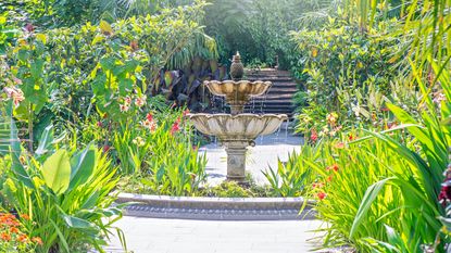 Tropical garden with a fountain