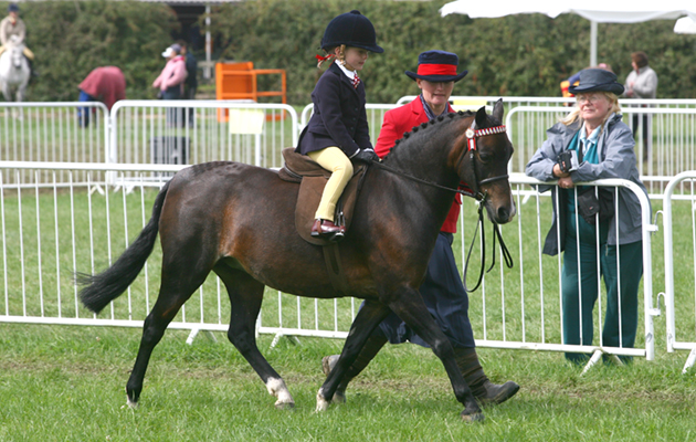 303 Colne Heiress ridden by Kizzie Rose Lucas Leid Rein Pony