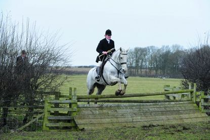 Rory-Knight-Bruce-01-e1429532513508.jpg