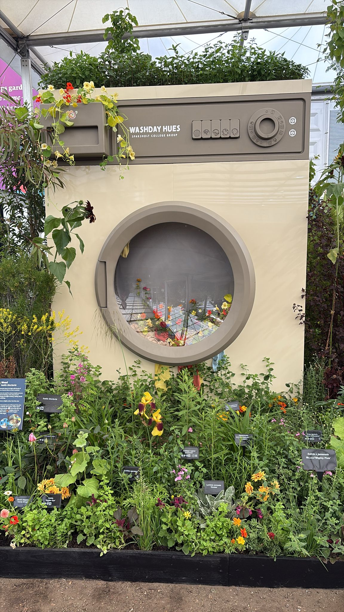 A 10ft tall washing machine standing among some flowers. Not much to say other than that really.