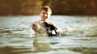 Dog swimming in water with man