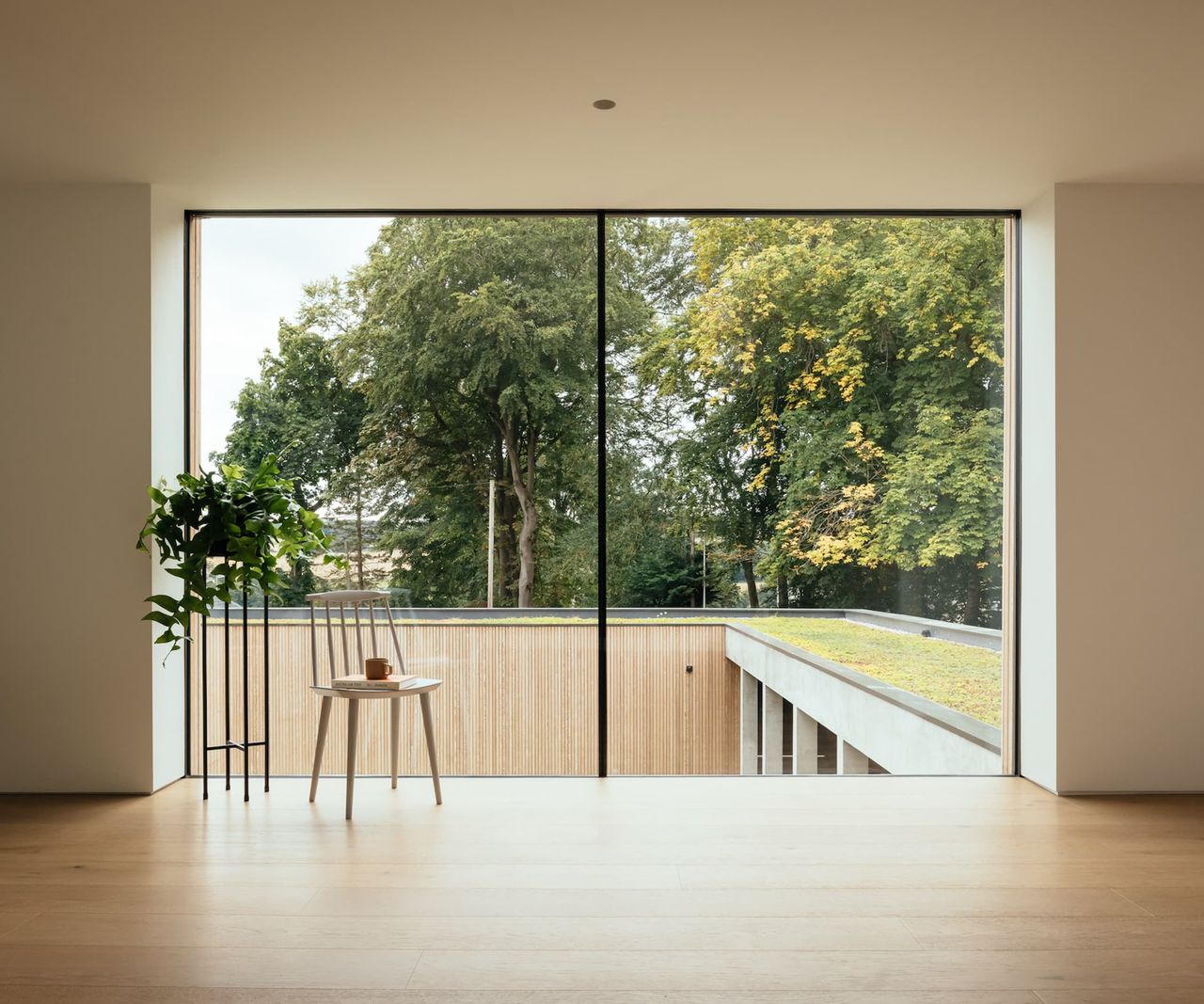 A picture window looking over a green roof