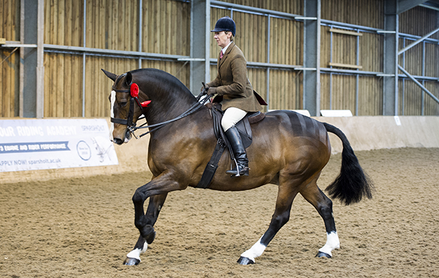 Cob In Hood and Jayne Ross (LW cob winner and cob champ)