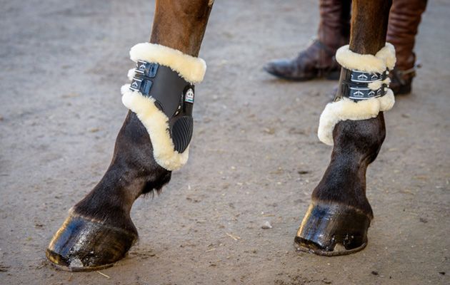 Veredus STS Carbon Gel Vento boots review