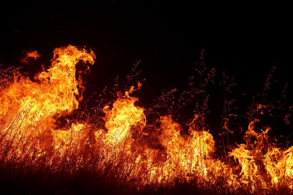 A field on fire in Northern California.