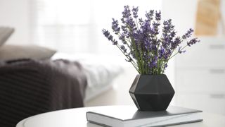 A vase filled with lavender on a book on a table