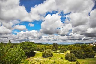 a surreal sky scene with rolling clouds