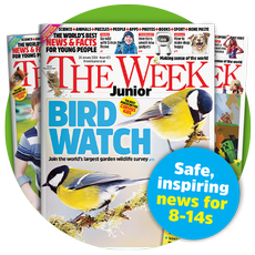 TWJ Cover - Bird Watch