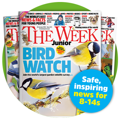 TWJ Cover - Bird Watch