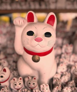 A white waving lucky cat with red ears and collar surrounded by smaller cats