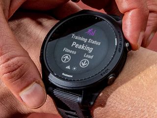 Garmin forerunner 245 online vs apple watch 6