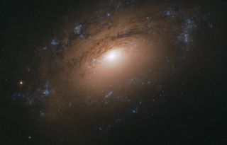 A new image from the Hubble Space Telescope shows dust and gas swirling around the spiral galaxy NGC 3169.