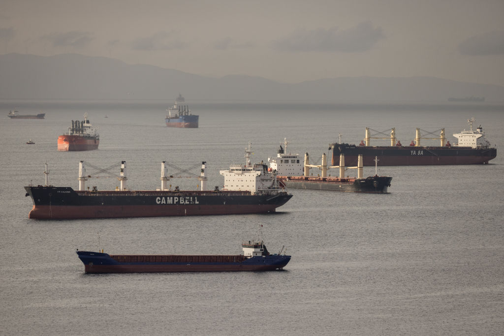 Grain ships anchored off the coast of Istanbul, Turkey.
