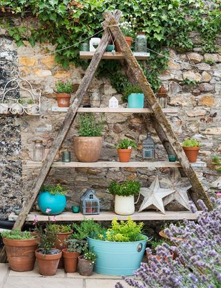 garden with wooden ladder shelf with potted plants