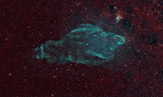 The supernova wreckage W50 which has taken the shape of a cosmic manatee as a result of the jets of its microquasar occupant
