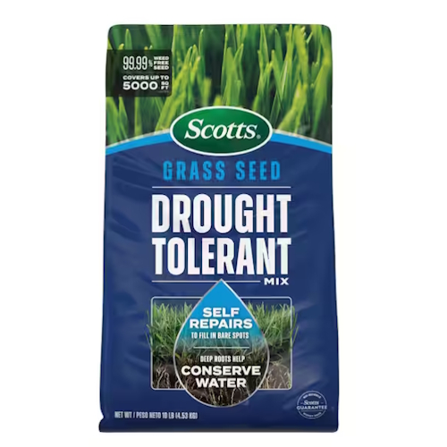 Kentucky Bluegrass and Tall Fescue Grass Seed Mix