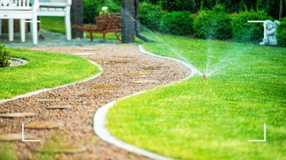 backyard with lawn either side of a path with sprinkler on to demonstrate the best time to water your lawn