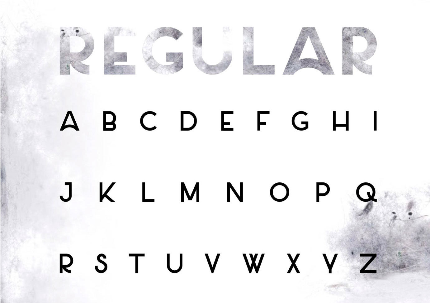 free fonts: salt