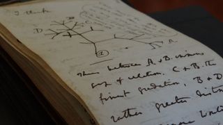 One of the recently recovered notebooks features Charles Darwin's first sketch of the "tree of life."
