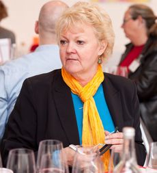DWWA 2014 Regiona Chair
