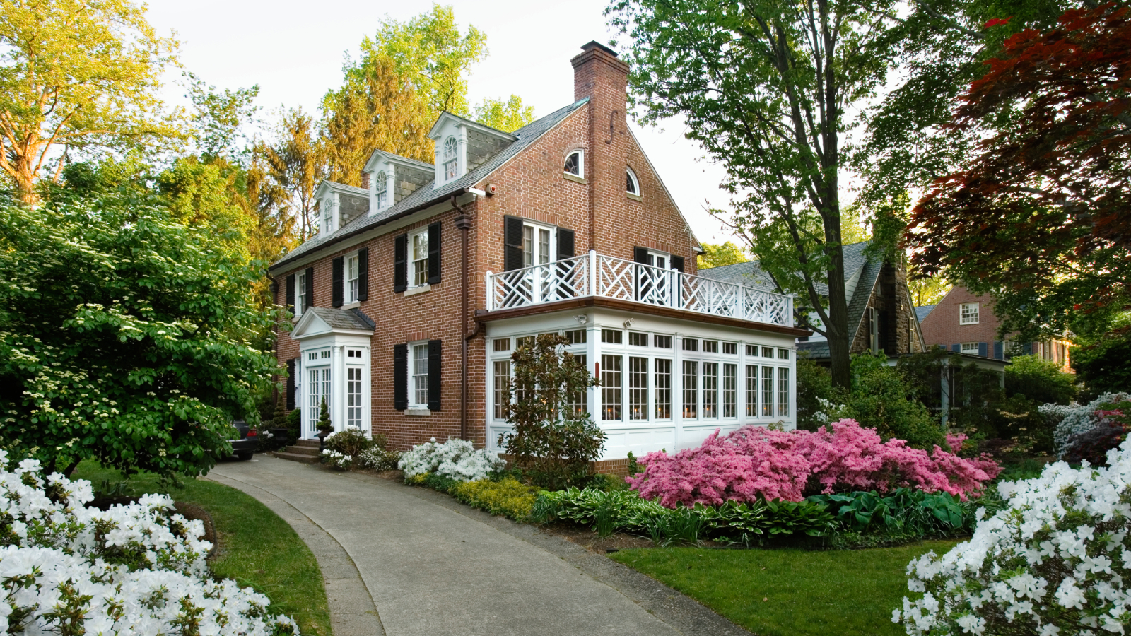 White azaleas and other pink flowering bushes in front of colonial style house