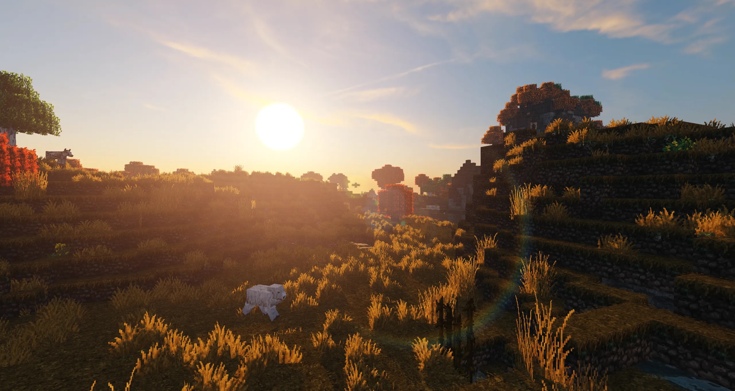 Shaders Minecraft - LUMA, un mouton traversant un champ au coucher du soleil, projetant de longues ombres