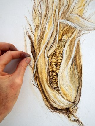 pastel pencils and conte crayons being used to make drawings of natural elements