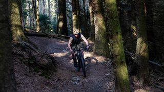 Rider descending in a wood at Glentress in Scotland