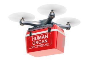 Organ delivery drone