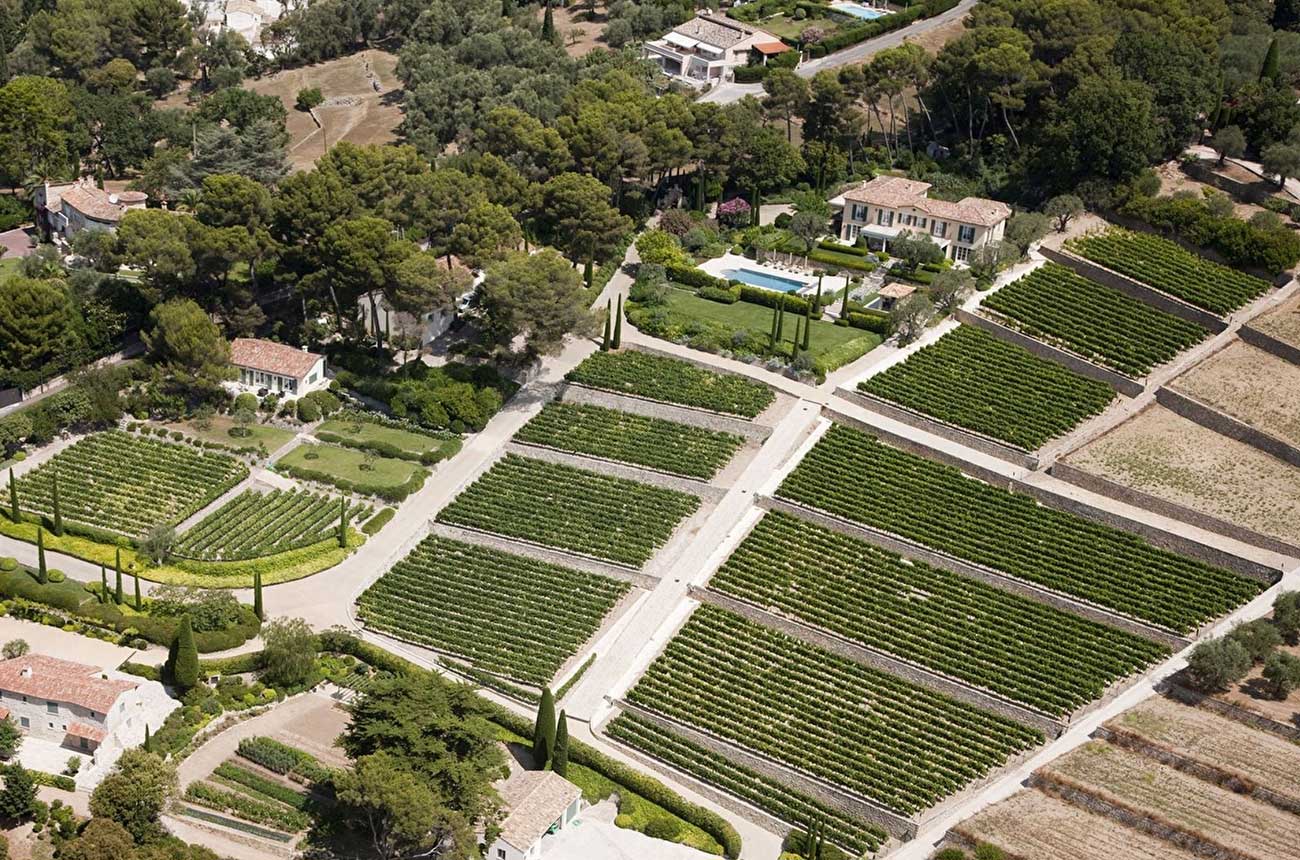 luxury vineyard cote d'azur