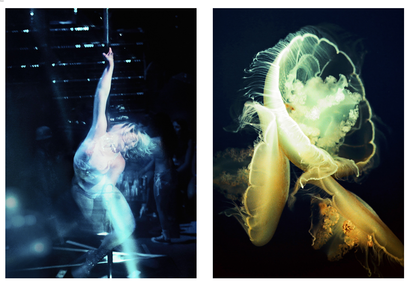 A 35mm diptych pairing a dancer bathed in icy blue stage light at a West Hollywood pole dancing venue with three translucent moon jellyfish glowing in cyan and molten amber as they touch in open water, their forms rhyming across the divide.