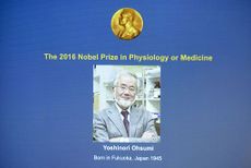 Yoshinori Ohsumi wins 2016 Nobel Prize for medicine