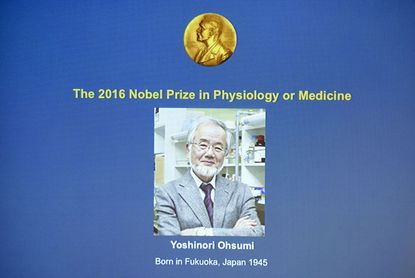 Yoshinori Ohsumi wins 2016 Nobel Prize for medicine