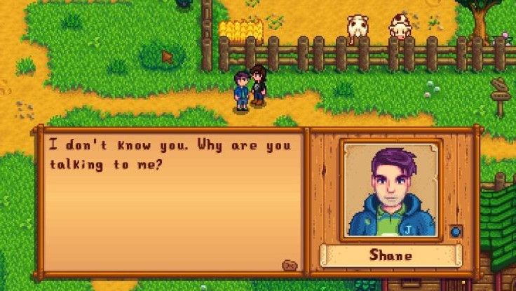 It Melts My Heart That The Go To Partner For Stardew Valley Marriage Speedrunning Is Shane Pc Gamer