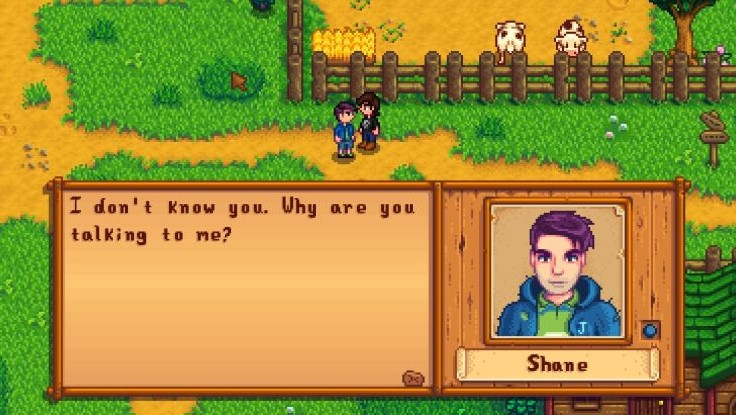 Stardew Valley Shane