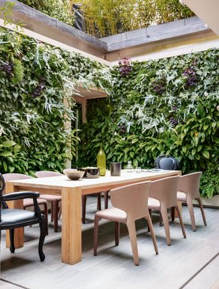 Dining area under pergola with overgrown plants