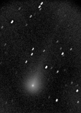 Skywatcher Michael Mattiazzo got this image of comet Elenin, August 19, 2011, in the southern hemisphere.