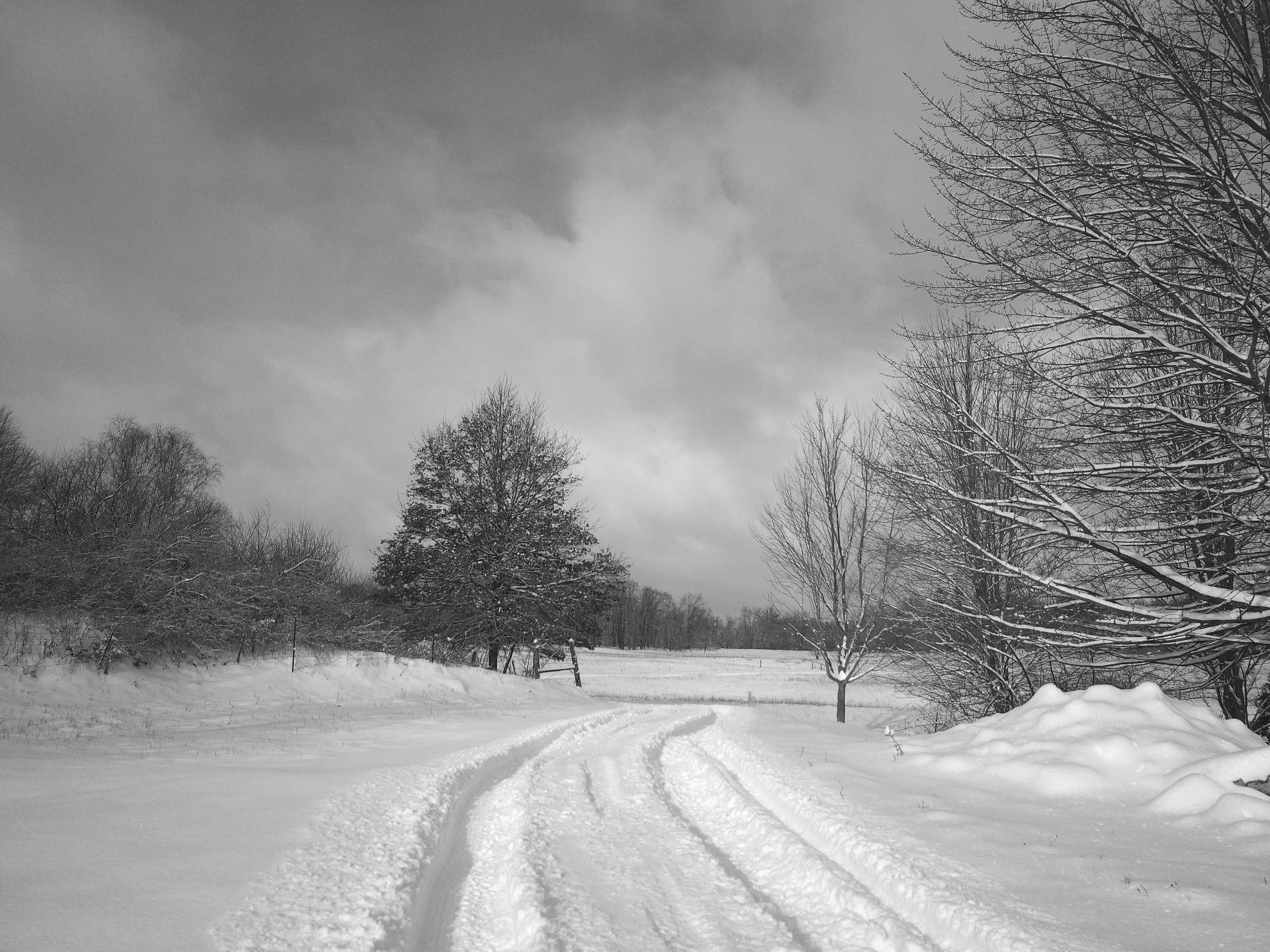 A sample image taken with the Camp Snap CS-Pro