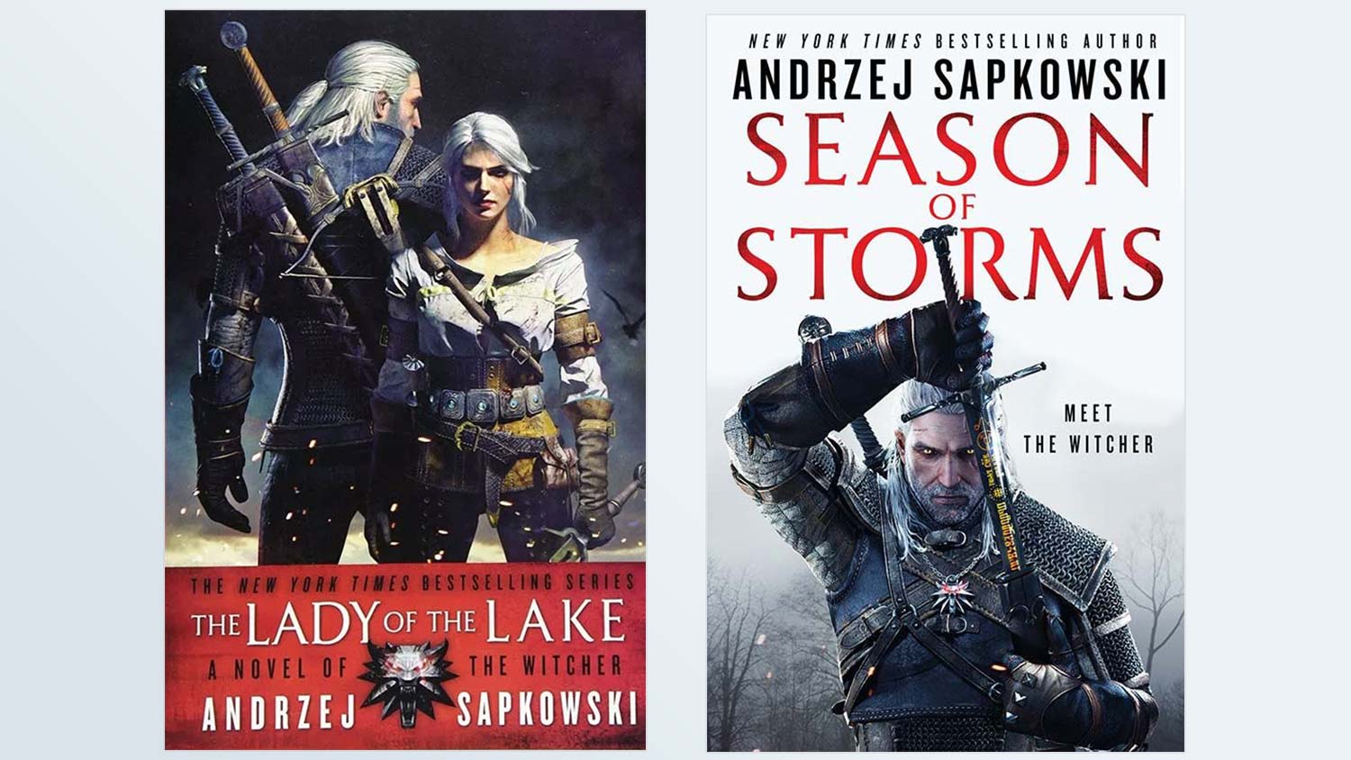 The Witcher Books and Games Guide: How Read and Play in the Right Order  After Watching the Netflix Series