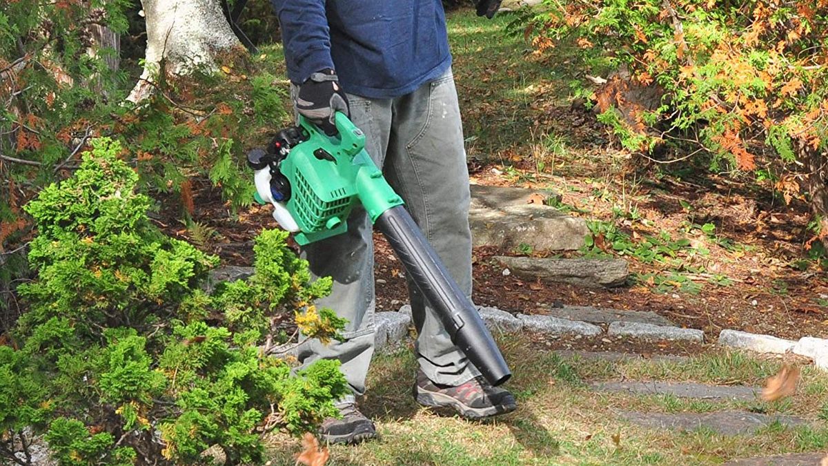 Hitachi RB24EAP Review Pros, Cons and Verdict Top Ten Reviews