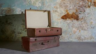 Two old vintage suitcases