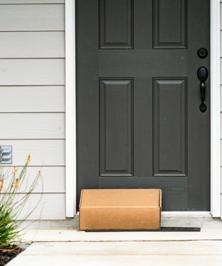 A brown parcel on the doorstep in front of a black door