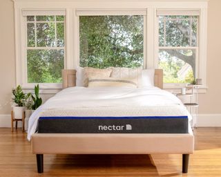 Nectar memory foam mattress in bedroom with indoor potted houseplants