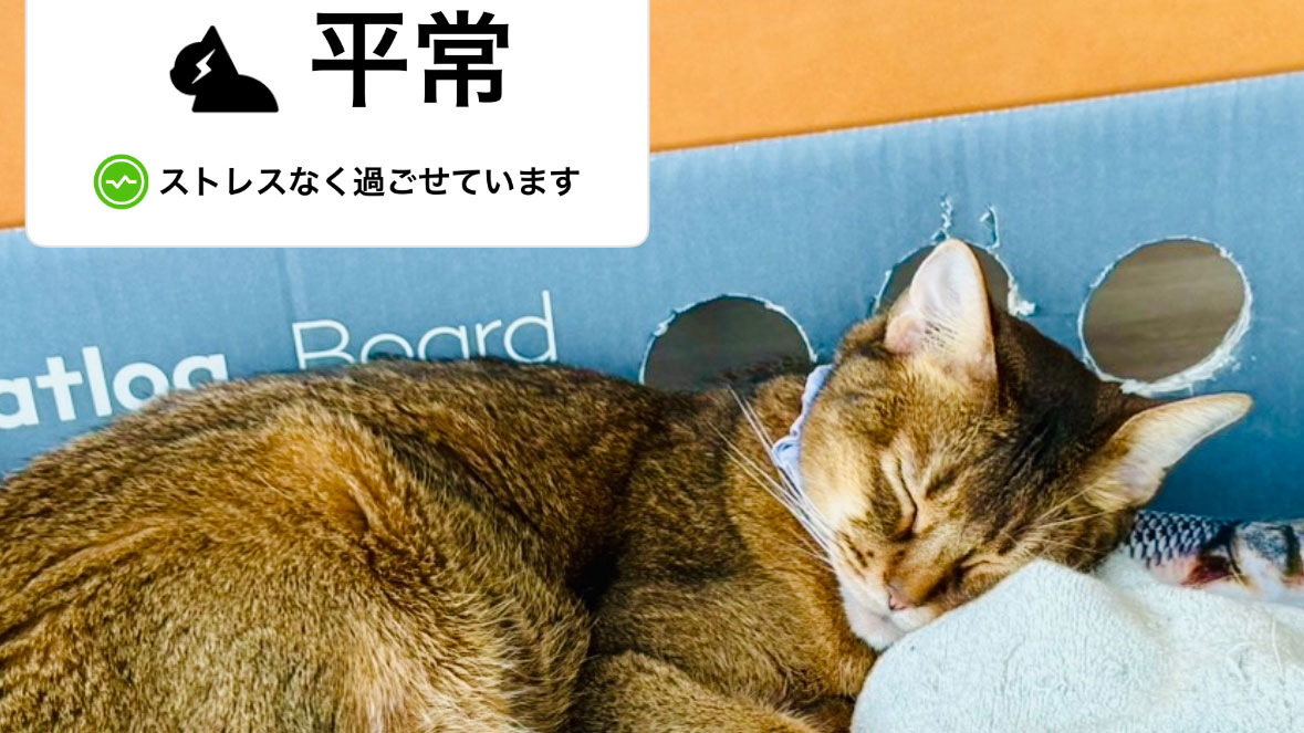 Catlog AI-powered smart collar
