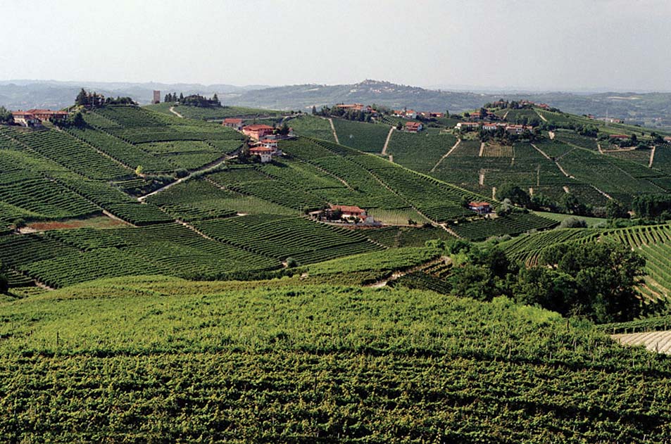 Italy co-ops, Produttori del Barbaresco