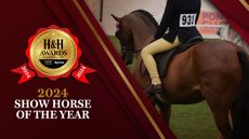 Show-Horse-24-.jpg