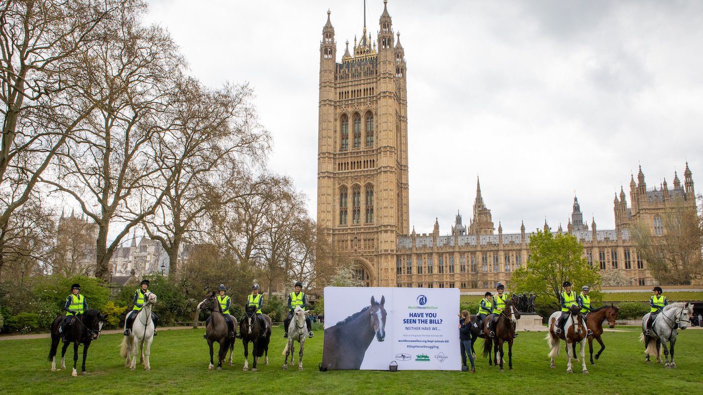 World-Horse-Welfare-Westminster-180423-6.jpg