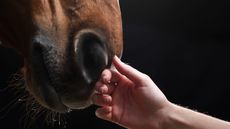 Hand-to-nose