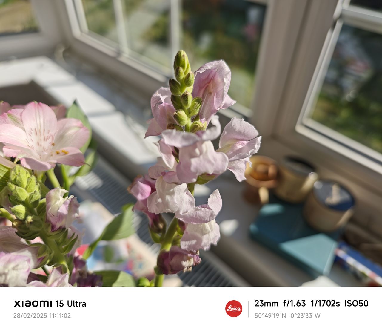 Xiaomi 15 Ultra camera sample flower